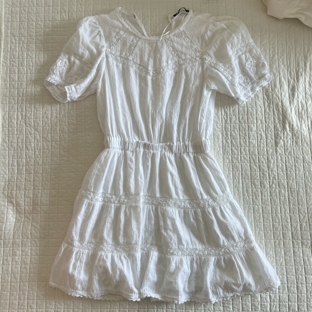 Zara Swiss Dot Dress with Embroidery